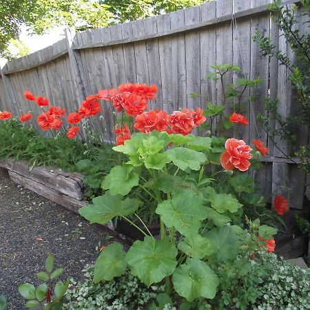 Bailey House Bed And Breakfast Annapolis Royal Εξωτερικό φωτογραφία