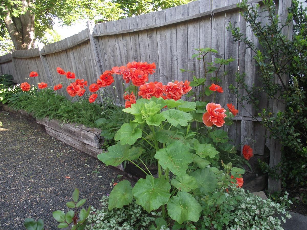 Bailey House Bed And Breakfast Annapolis Royal Εξωτερικό φωτογραφία